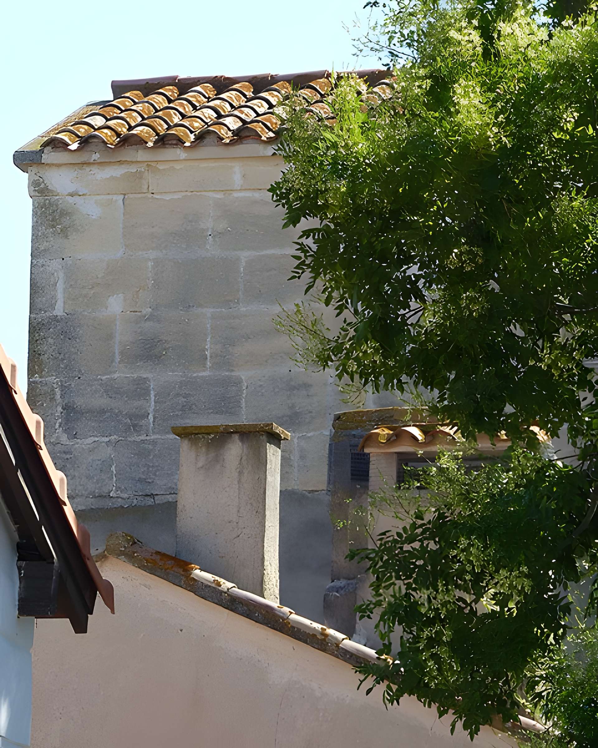 Mas de Méjanes aux Saintes-Maries-de-la-Mer