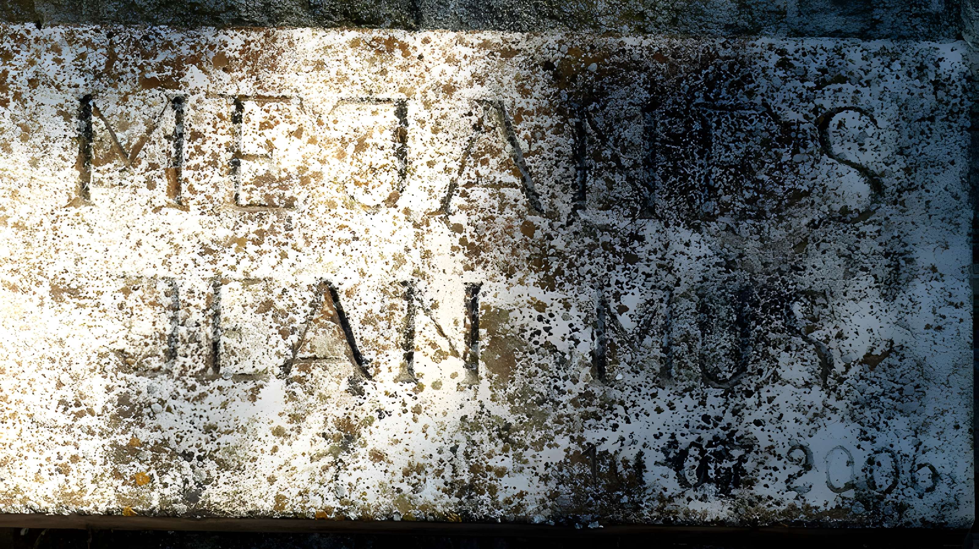 Mas de Méjanes aux Saintes-Maries-de-la-Mer