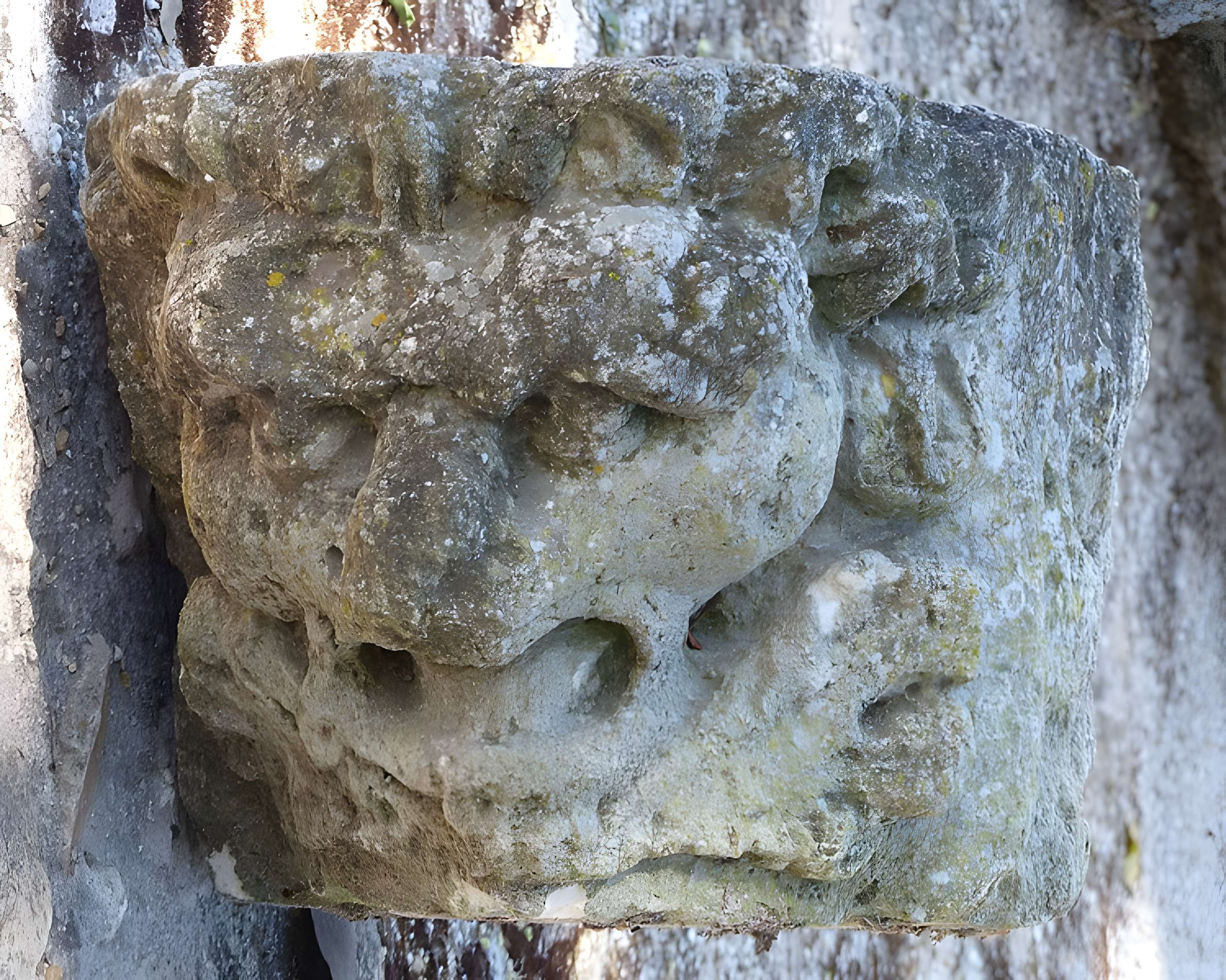 Mas de Méjanes aux Saintes-Maries-de-la-Mer