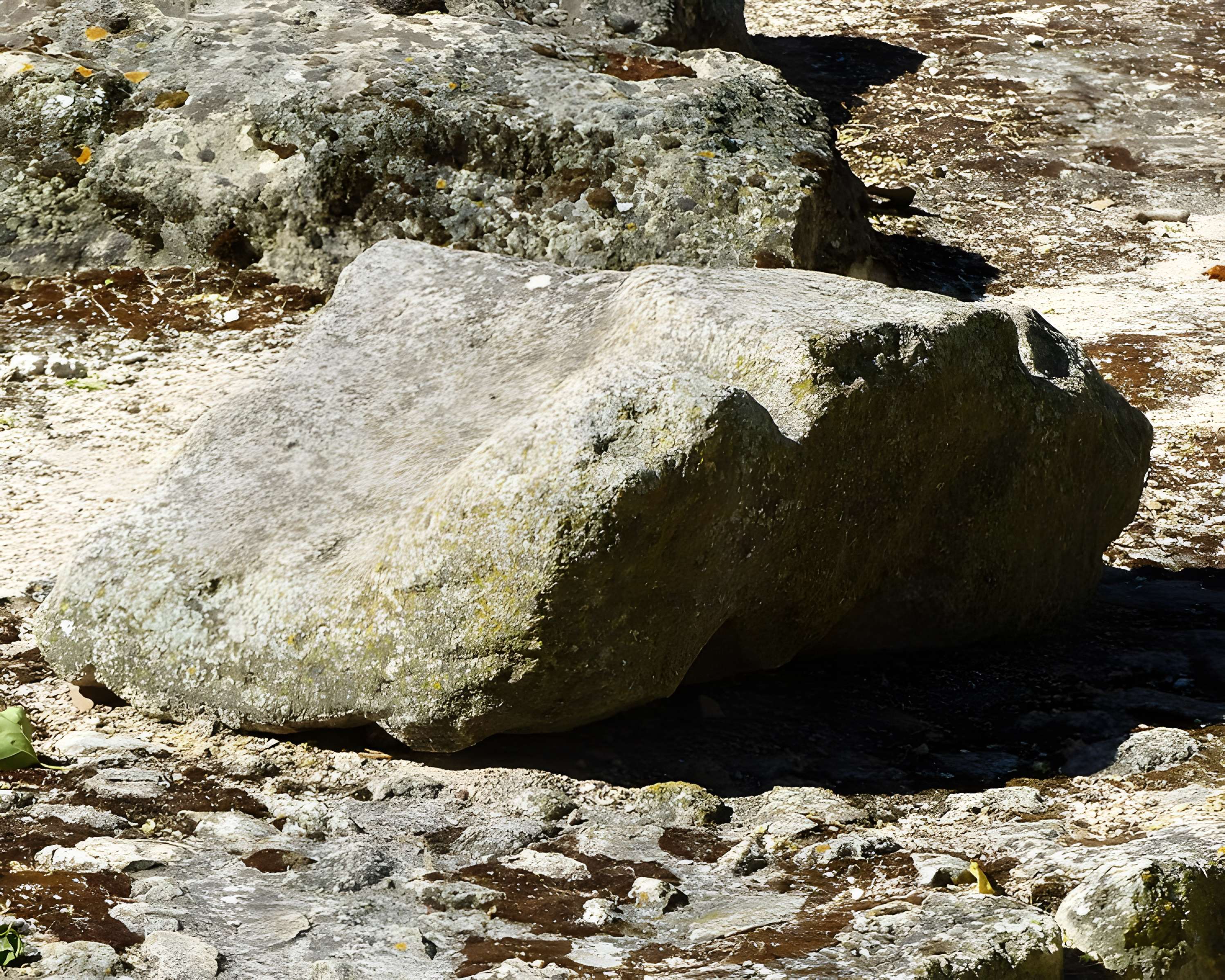 Mas de Méjanes aux Saintes-Maries-de-la-Mer