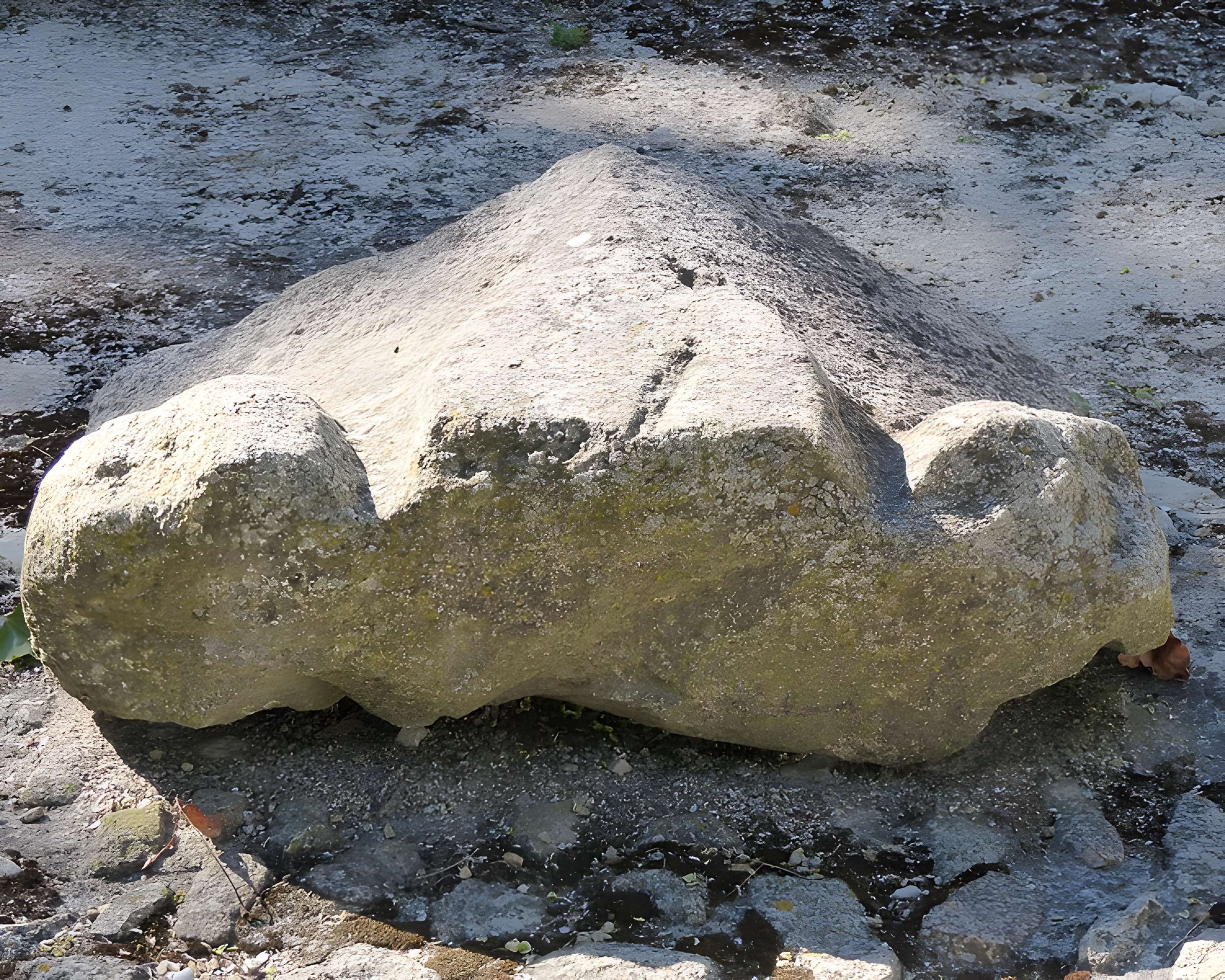 Mas de Méjanes aux Saintes-Maries-de-la-Mer