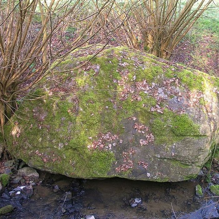 Photo de Mégalithe du Pré-du-Vivret de Saint-Omer