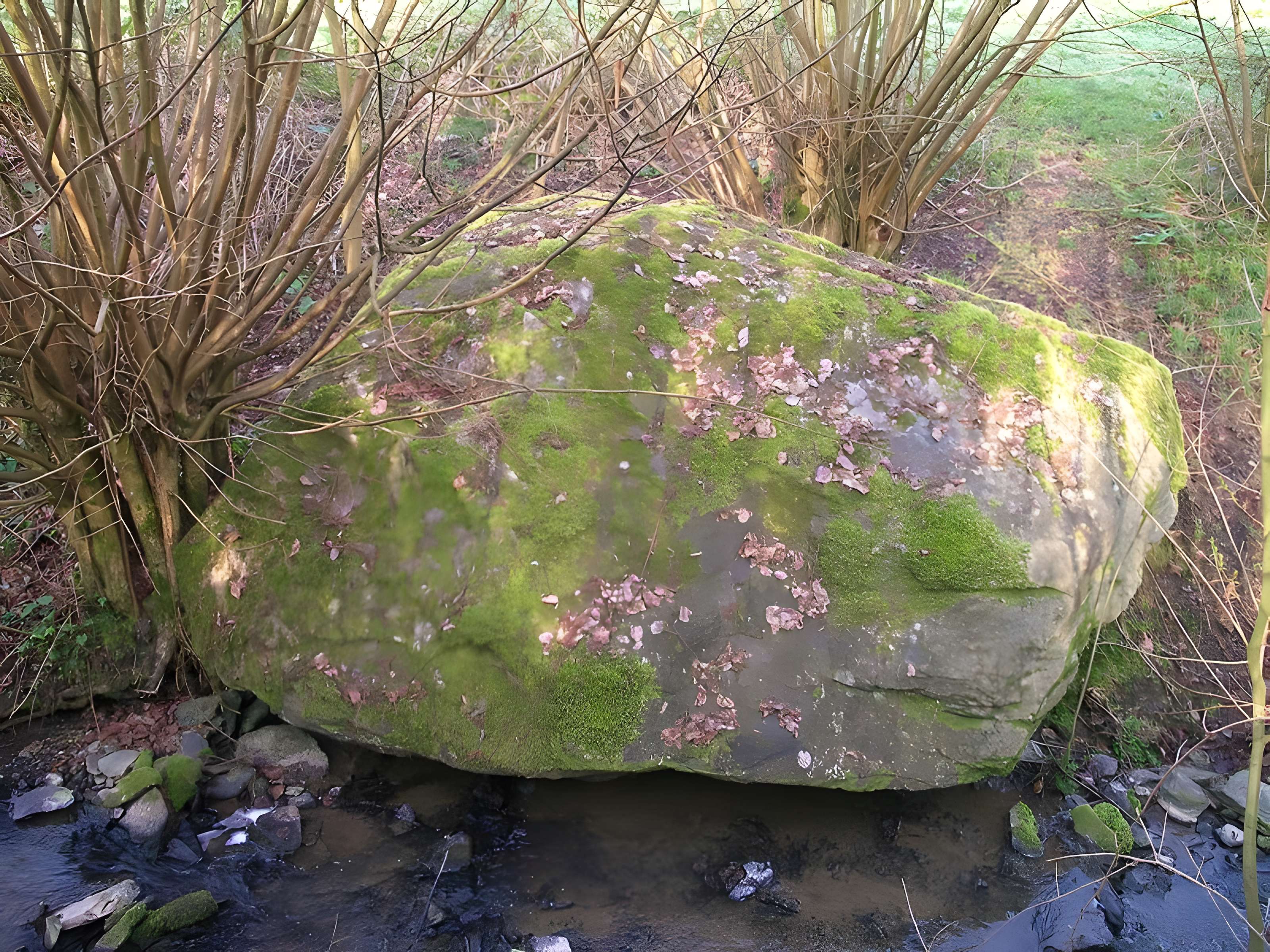 Mégalithe du Pré-du-Vivret de Saint-Omer