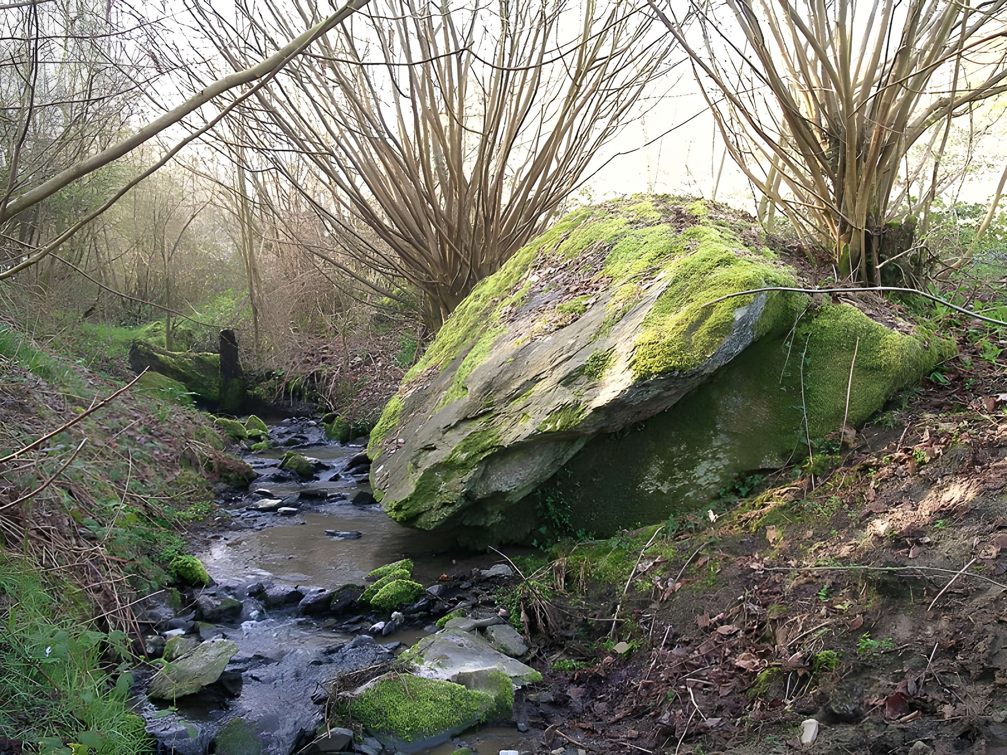 Mégalithe du Pré-du-Vivret de Saint-Omer