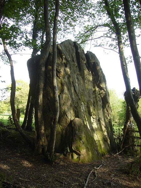 Photo de Menhir de Courtevrais à Nogent-le-Bernard