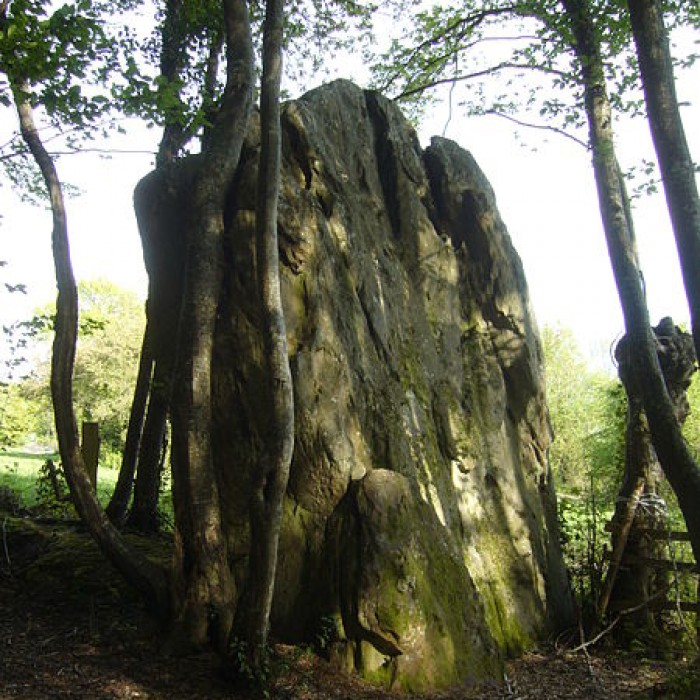 Photo de Menhir de Courtevrais à Nogent-le-Bernard