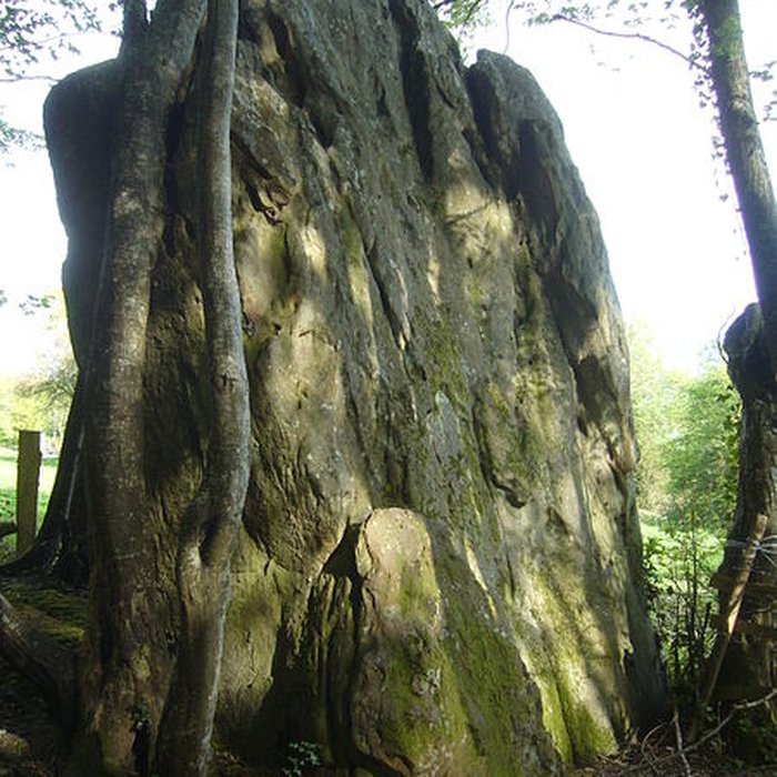 Photo de Menhir de Courtevrais à Nogent-le-Bernard