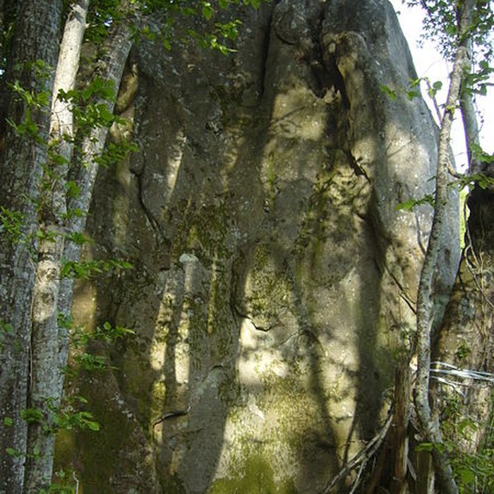 Photo de Menhir de Courtevrais à Nogent-le-Bernard
