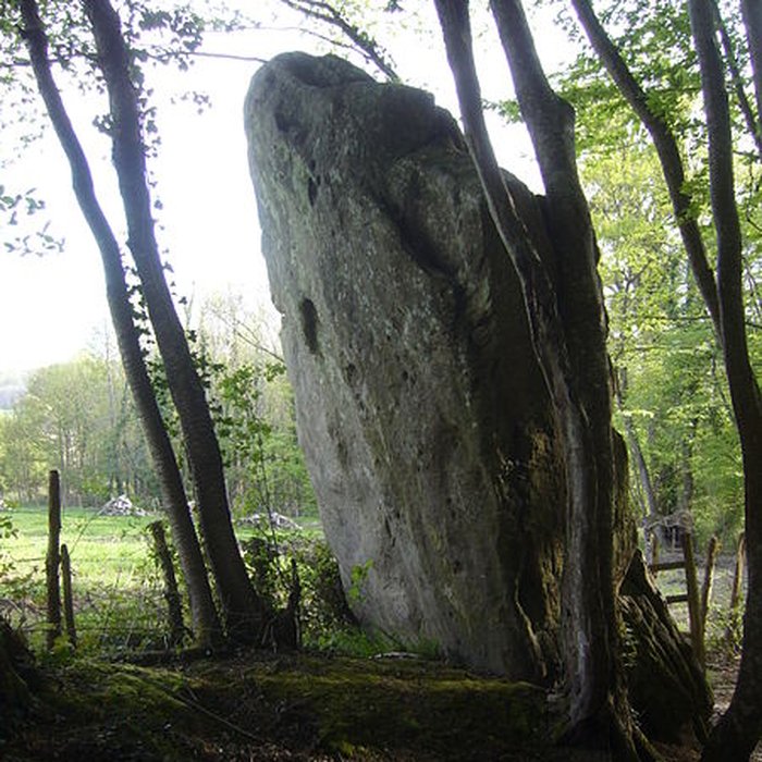 Photo de Menhir de Courtevrais à Nogent-le-Bernard