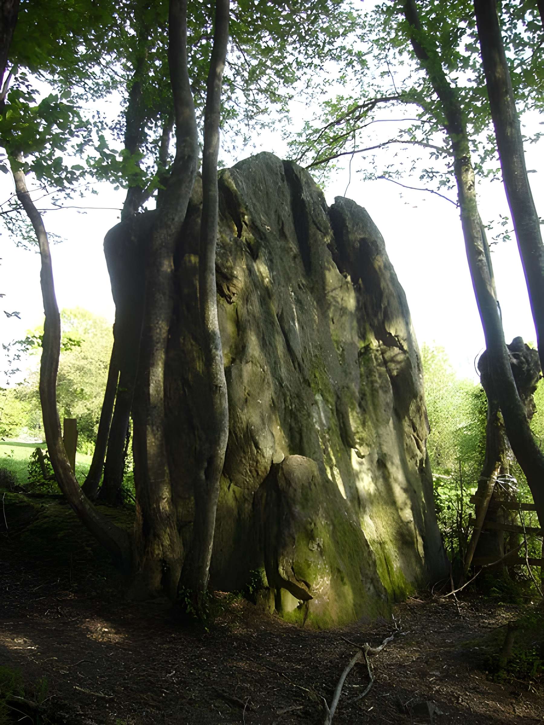 Menhir de Courtevrais à Nogent-le-Bernard 