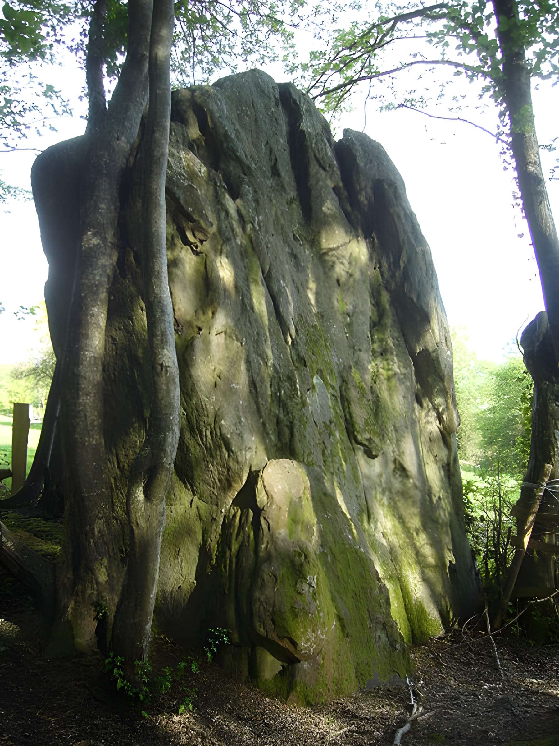 Menhir de Courtevrais à Nogent-le-Bernard