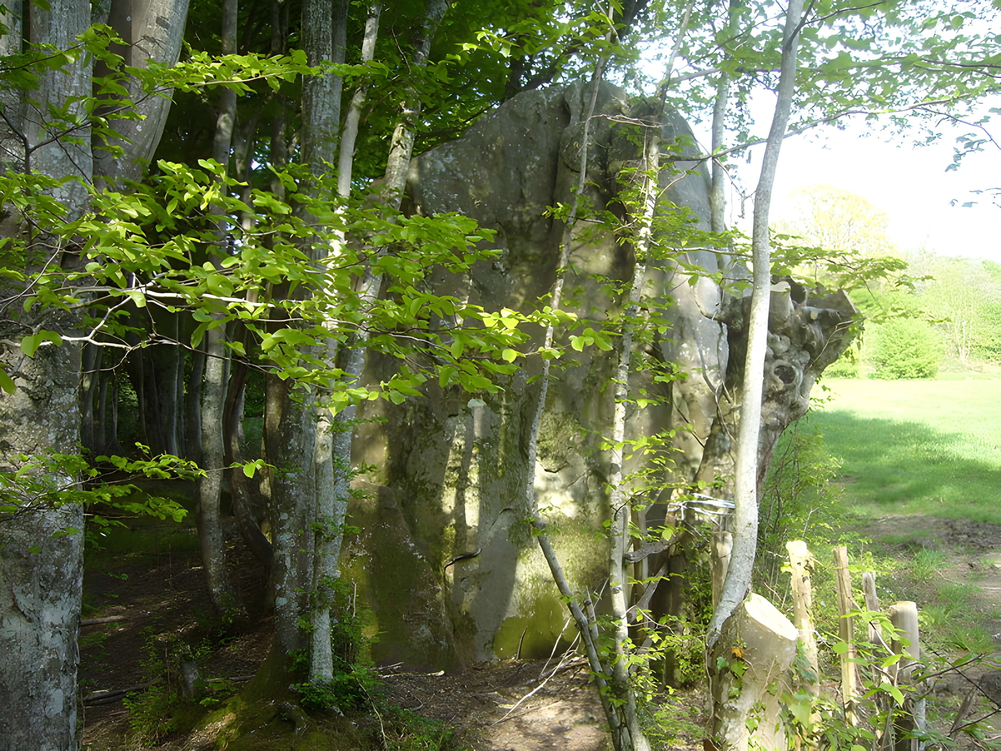 Menhir de Courtevrais à Nogent-le-Bernard