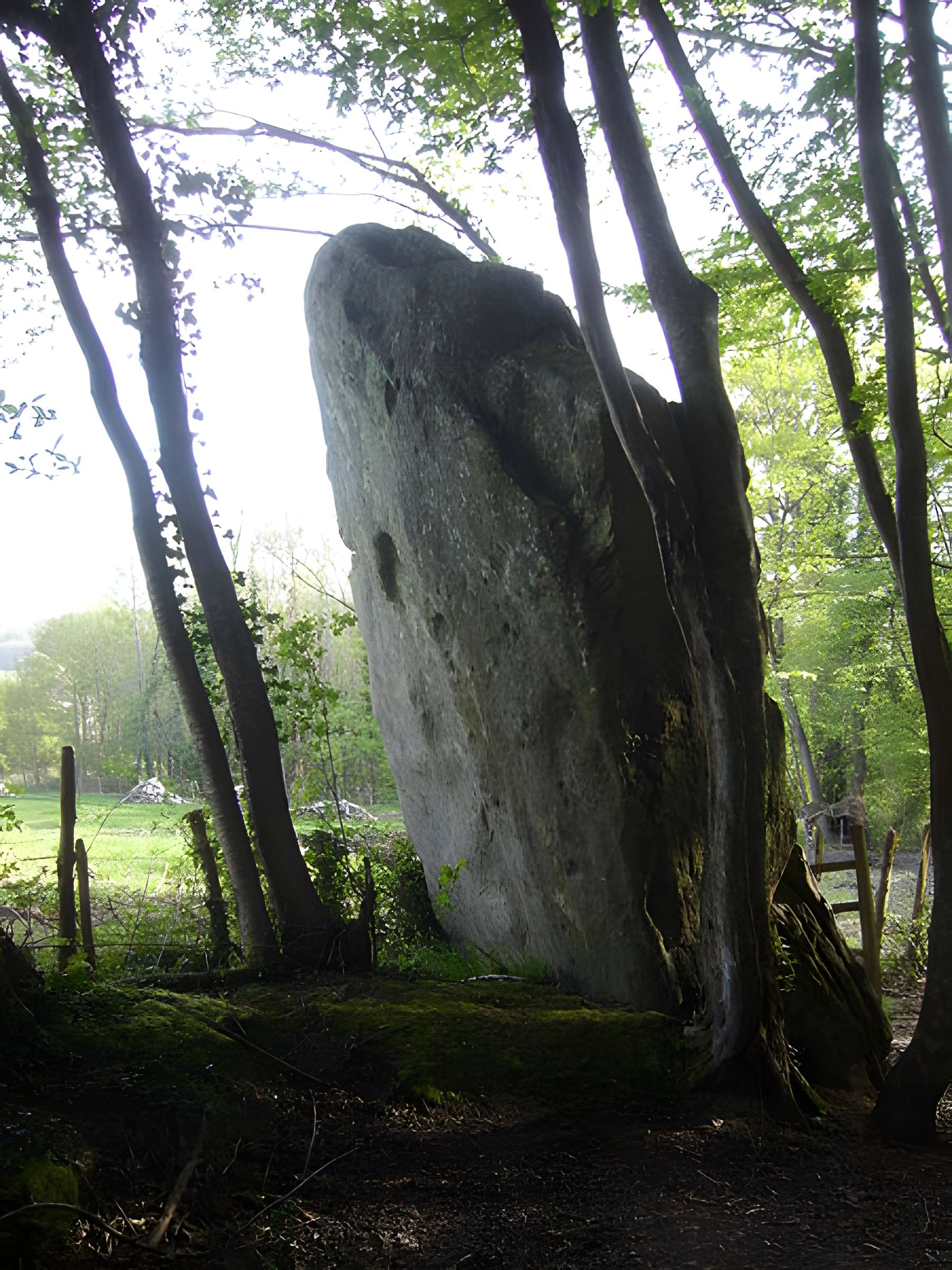 Menhir de Courtevrais à Nogent-le-Bernard