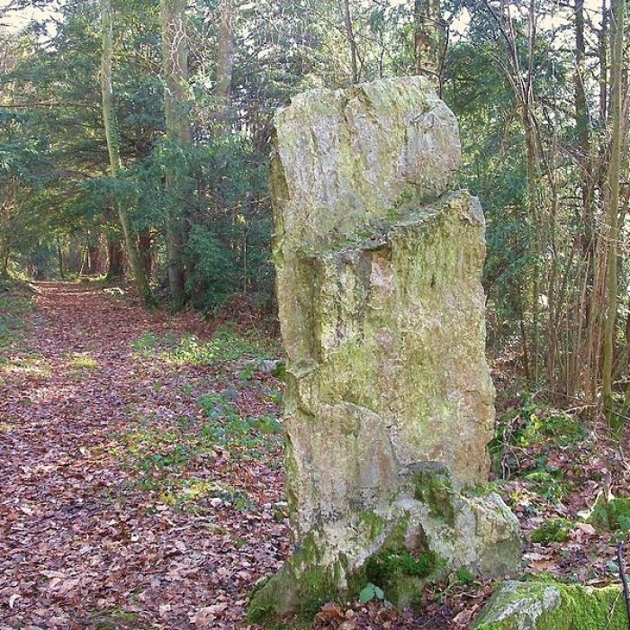 Photo de Menhir de la Roche Piquée de Saint-Germain-le-Vasson