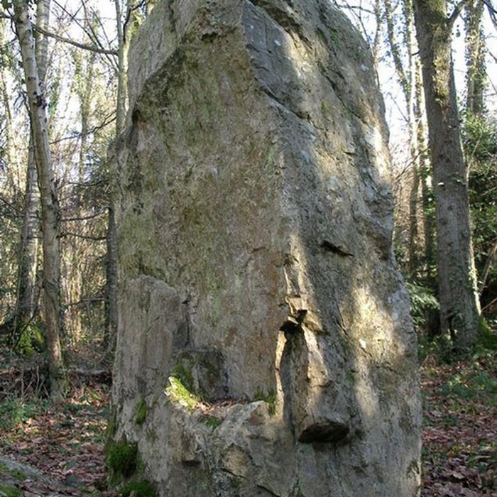 Photo de Menhir de la Roche Piquée de Saint-Germain-le-Vasson