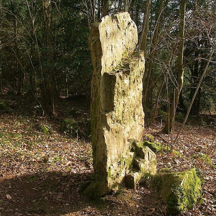 Photo de Menhir de la Roche Piquée de Saint-Germain-le-Vasson