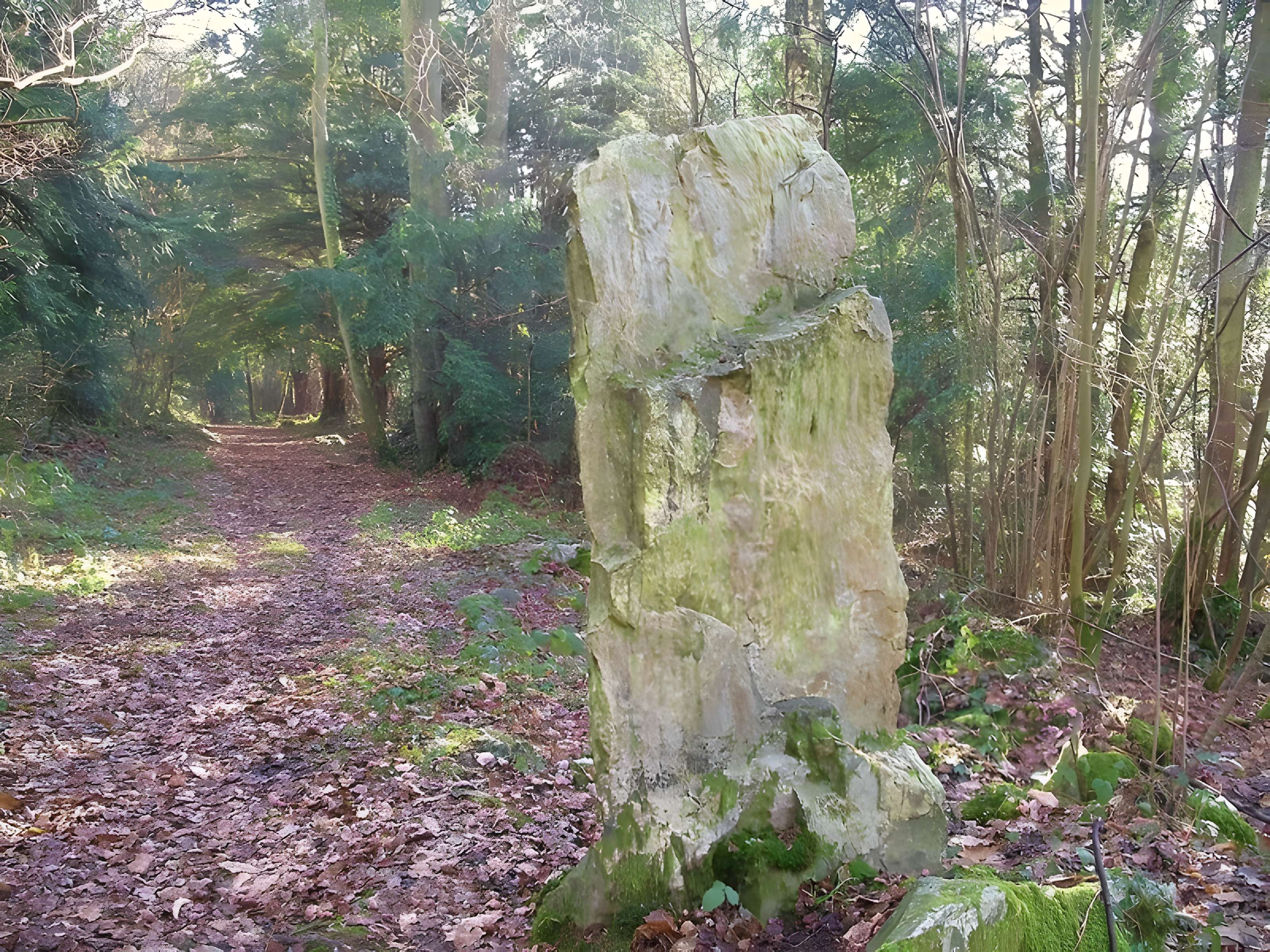 Menhir de la Roche Piquée de Saint-Germain-le-Vasson 