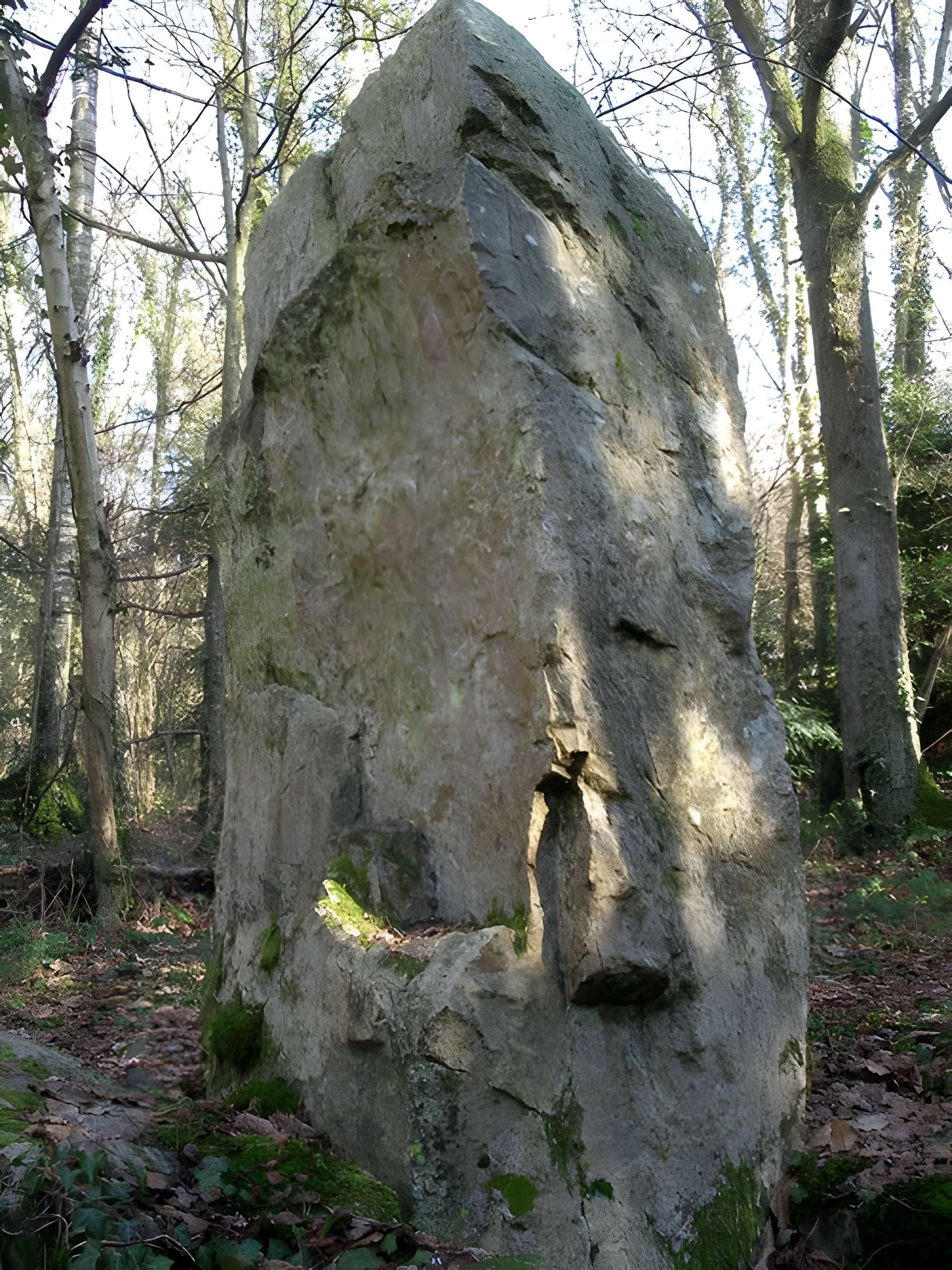 Menhir de la Roche Piquée de Saint-Germain-le-Vasson
