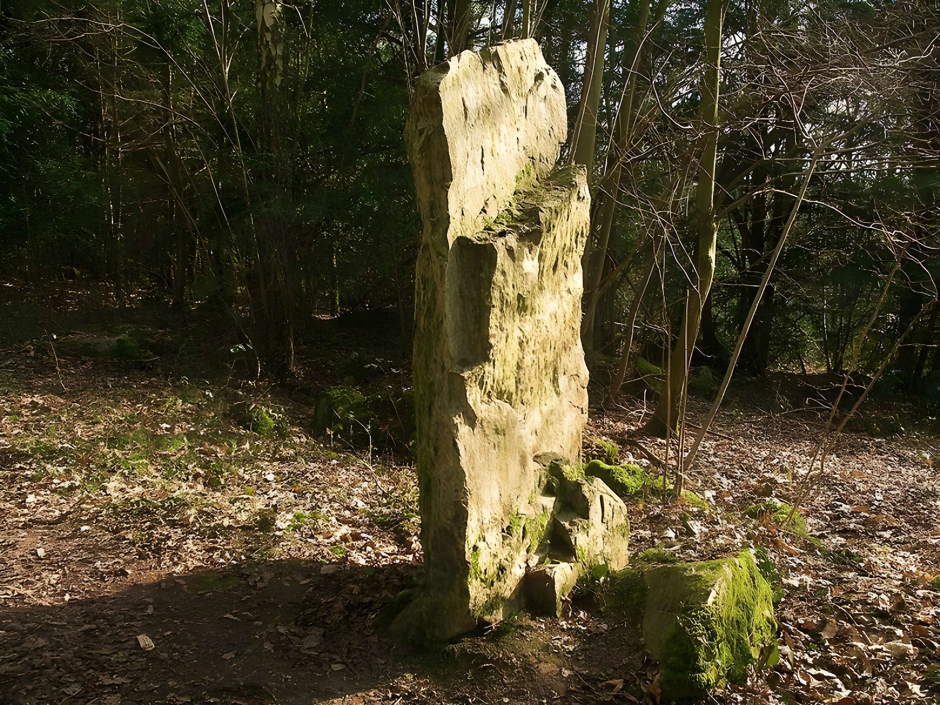 Menhir de la Roche Piquée de Saint-Germain-le-Vasson