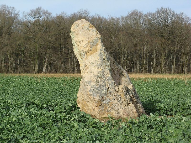 Photo de Menhir de Montacher-Villegardin
