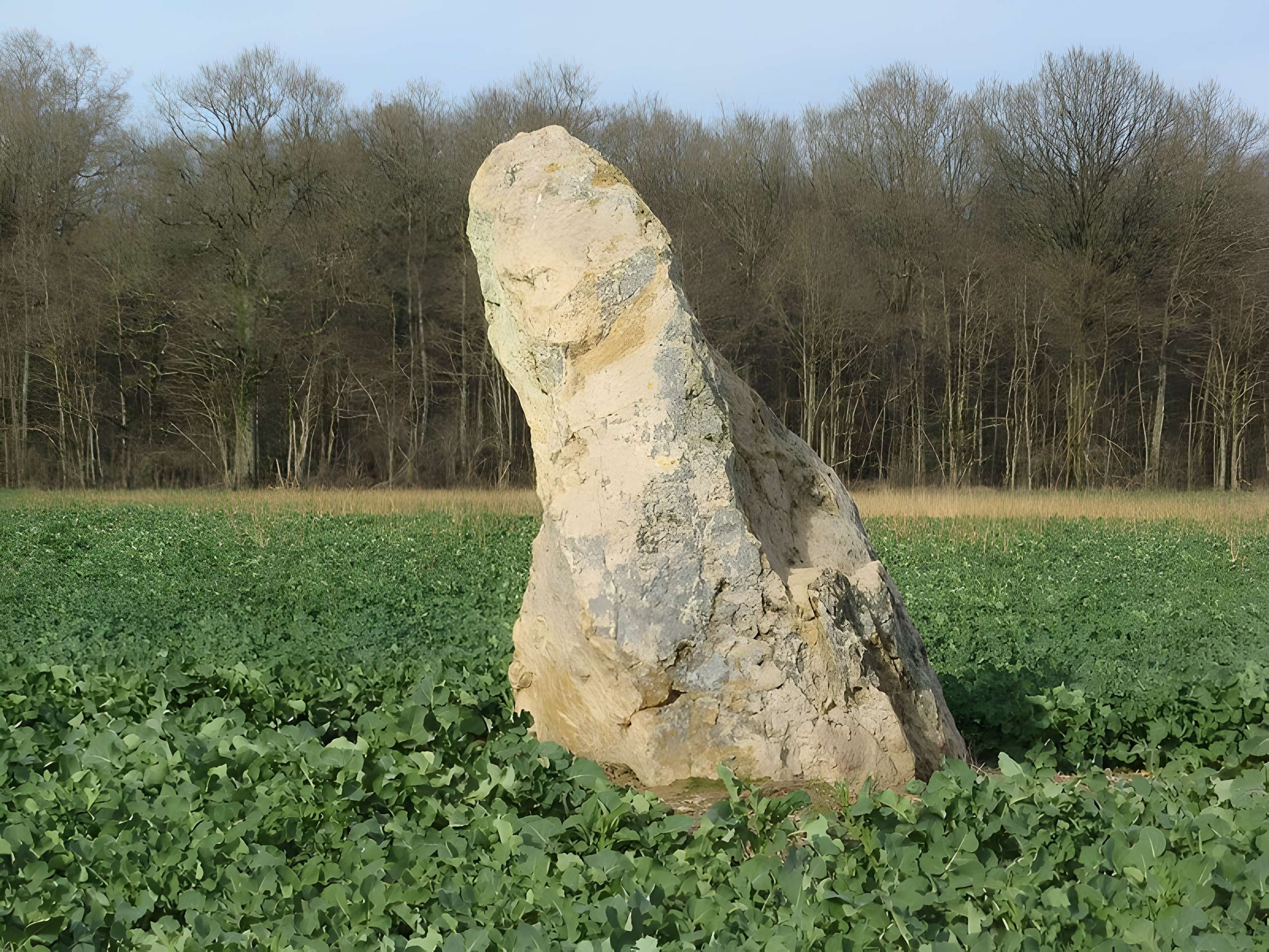 Menhir de Montacher-Villegardin 