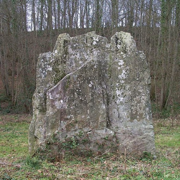 Photo de Menhir de Pierrelaye à Villy-Bocage