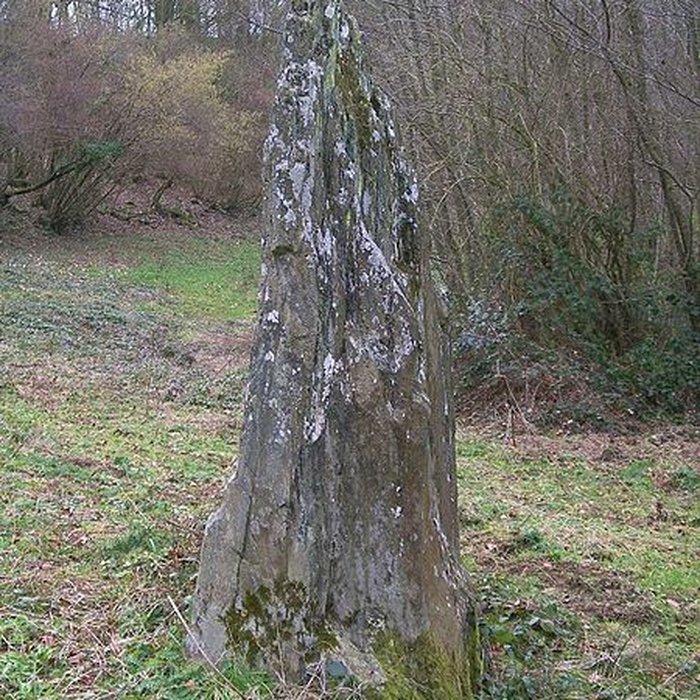 Photo de Menhir de Pierrelaye à Villy-Bocage