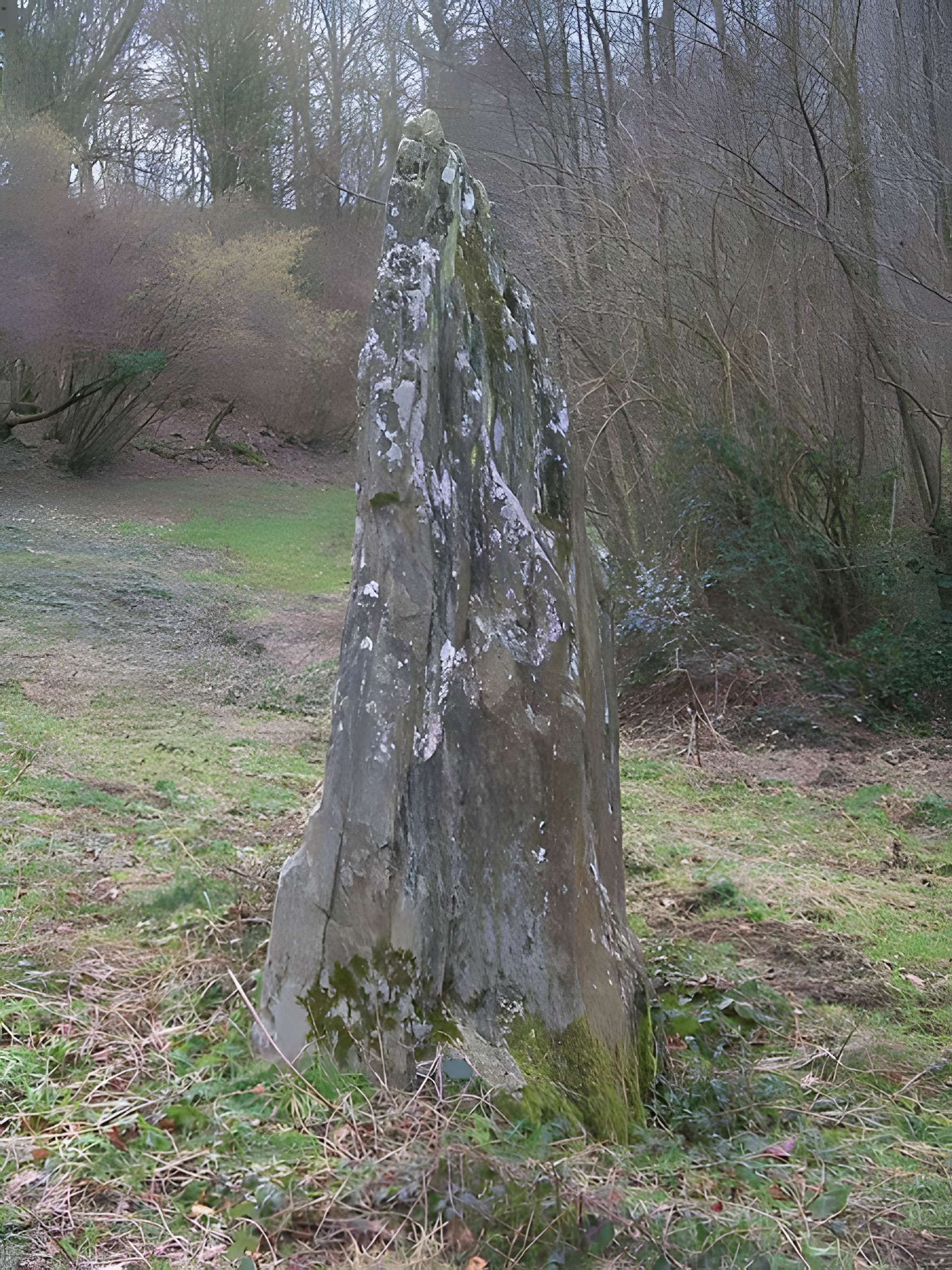Menhir de Pierrelaye à Villy-Bocage