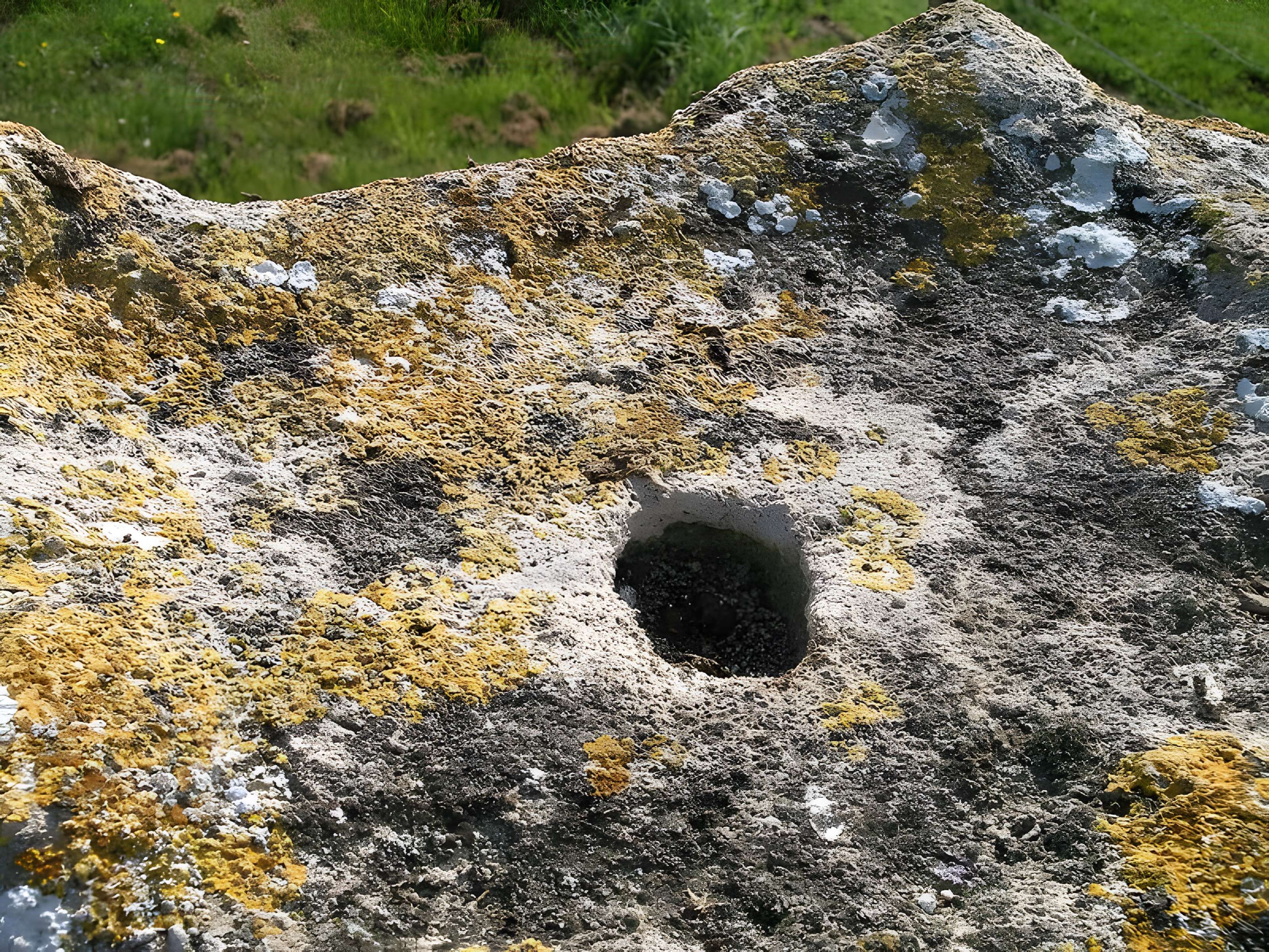 Menhir des Demoiselles à Colombiers-sur-Seulles