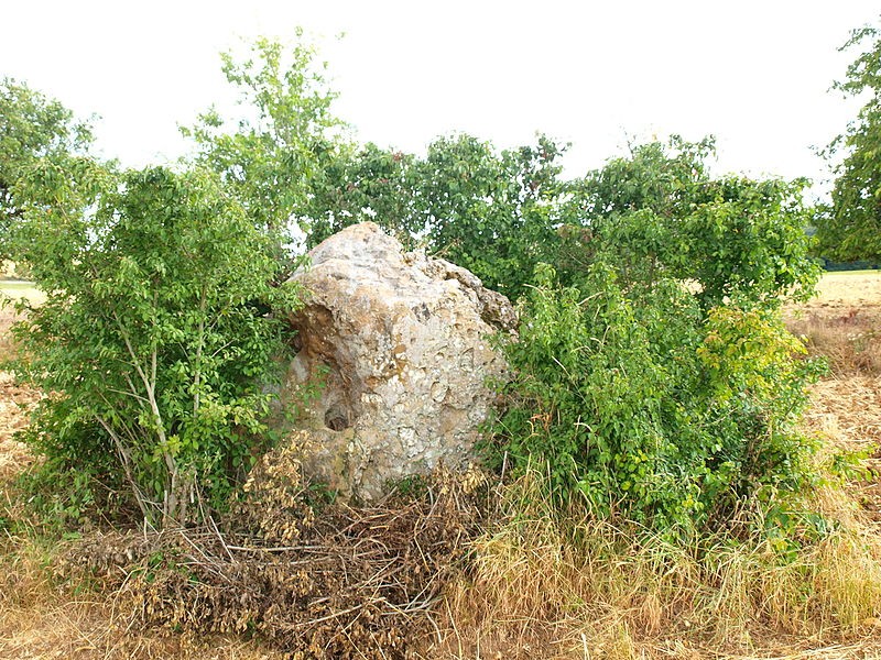 Photo de Menhir dit La Pierre-Fitte d'Aillant-sur-Tholon