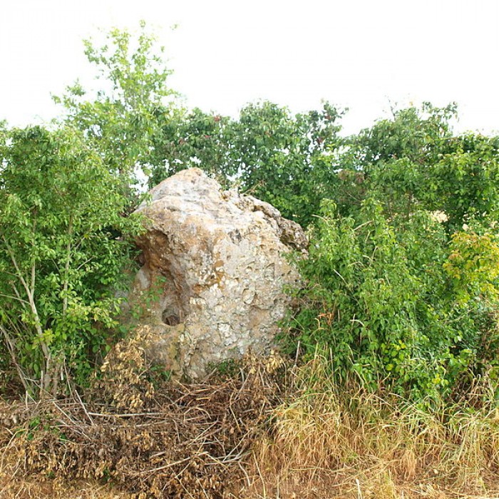 Photo de Menhir dit La Pierre-Fitte dAillant-sur-Tholon