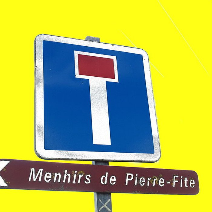 Photo de Menhir dit La Pierre-Fitte dAillant-sur-Tholon