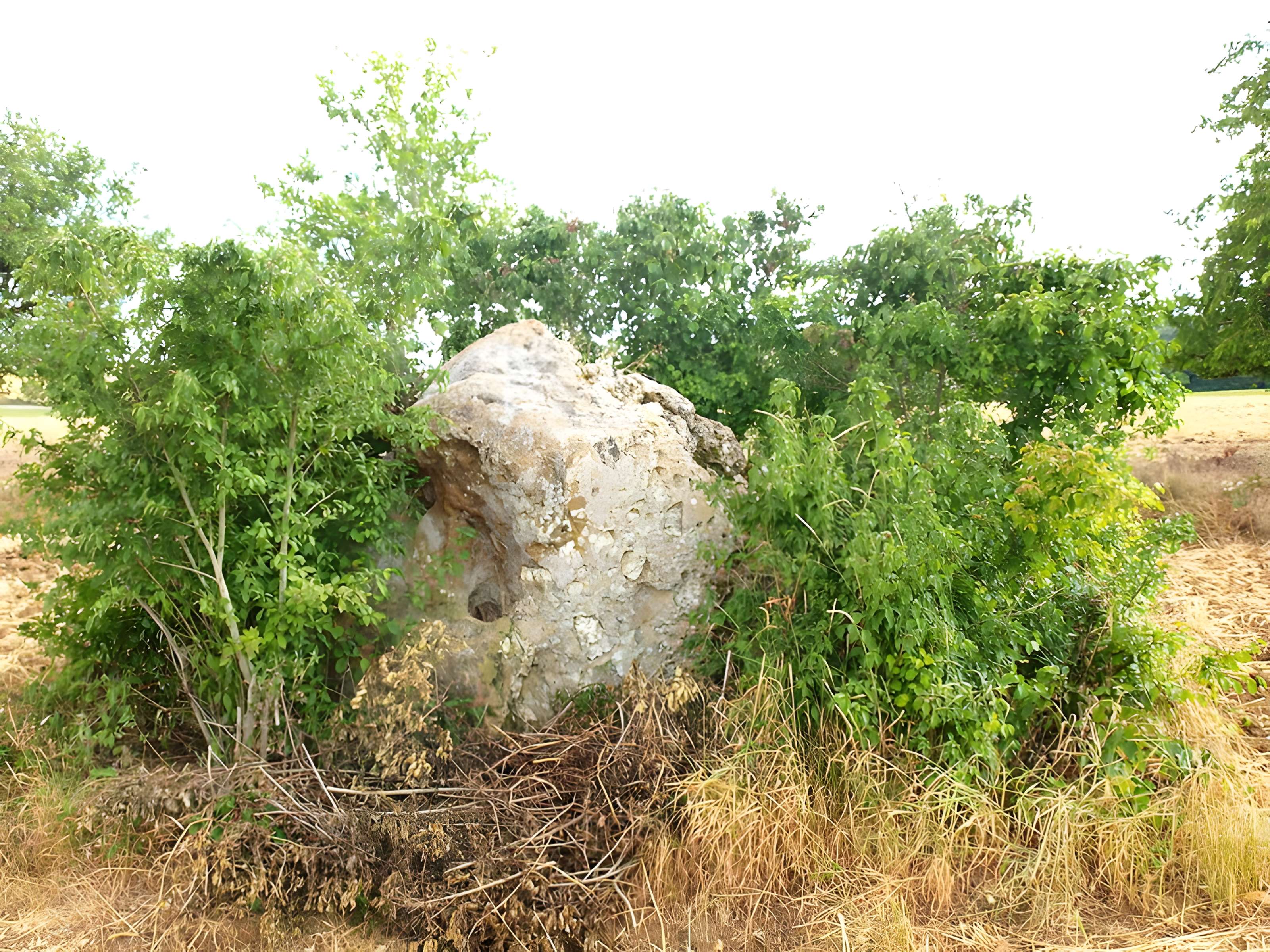 Menhir dit La Pierre-Fitte d'Aillant-sur-Tholon 