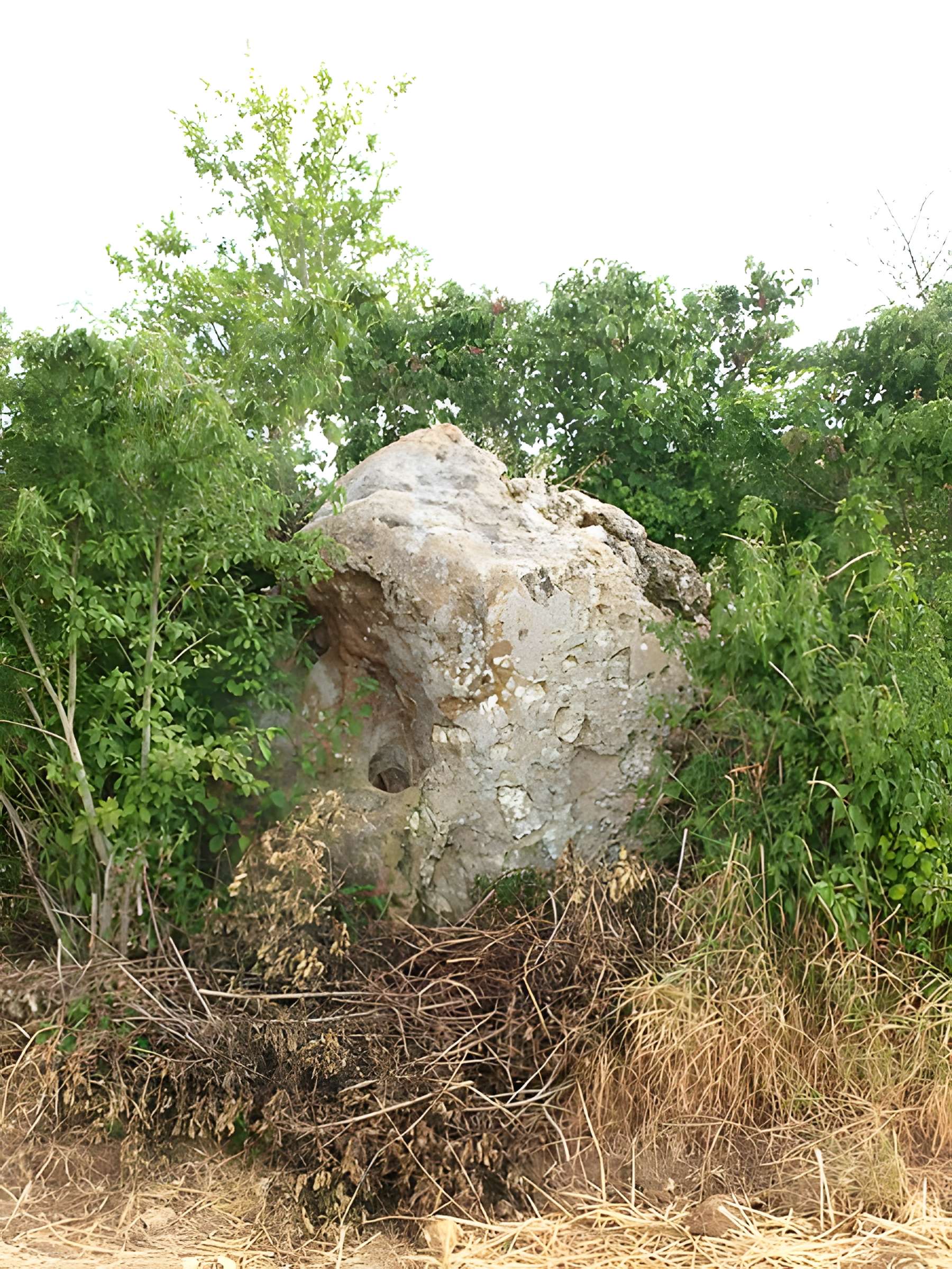 Menhir dit La Pierre-Fitte d'Aillant-sur-Tholon