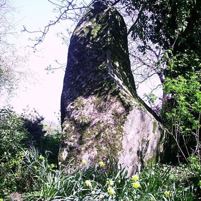 Photo de Menhir du Perron de Passais-la-Conception