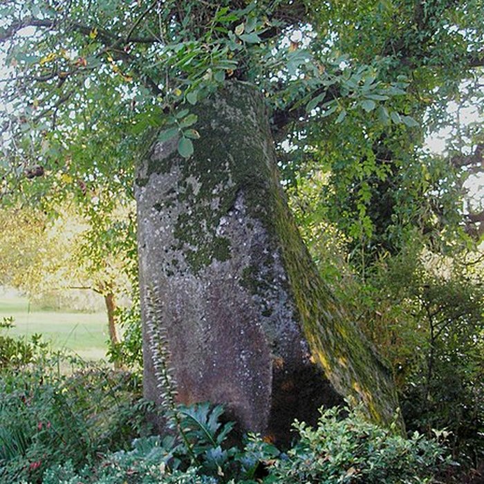 Photo de Menhir du Perron de Passais-la-Conception