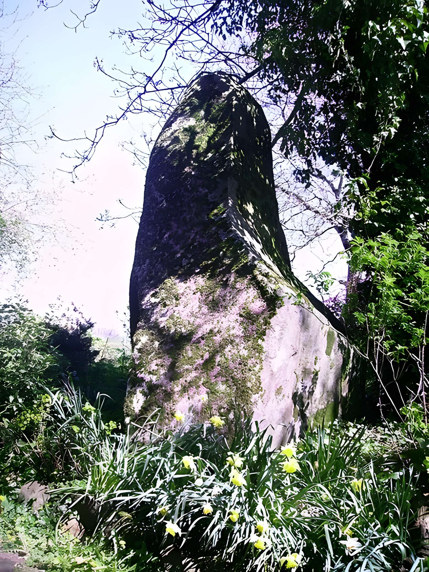 Menhir du Perron de Passais-la-Conception 