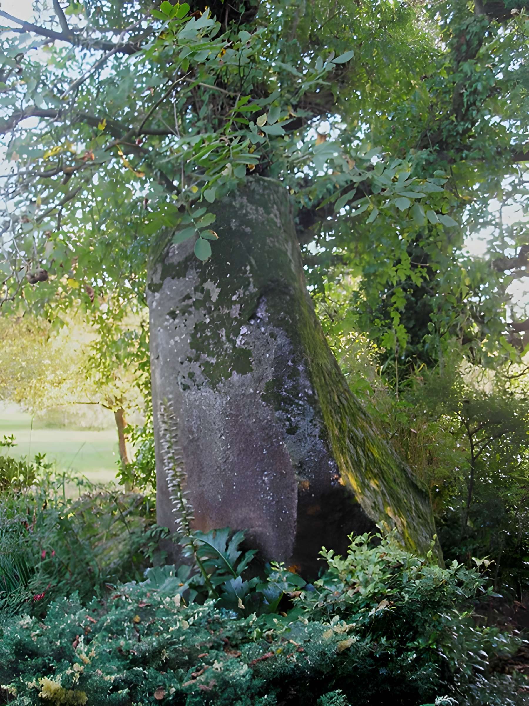 Menhir du Perron de Passais-la-Conception