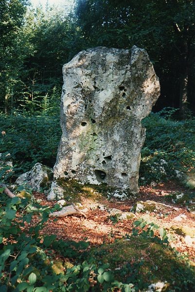 Photo de Menhir le Cheval gris de Chambain