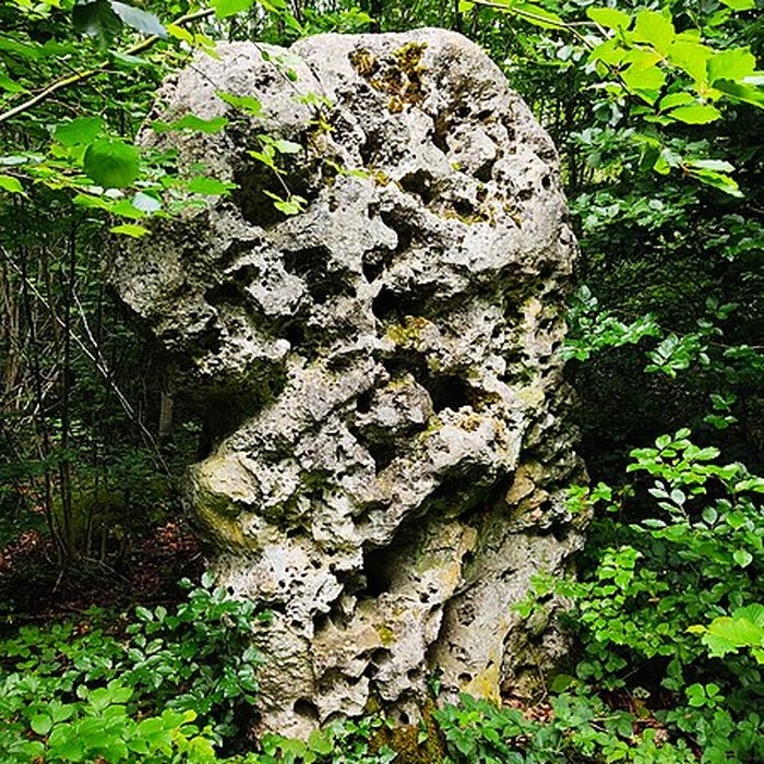 Photo de Menhir le Cheval gris de Chambain