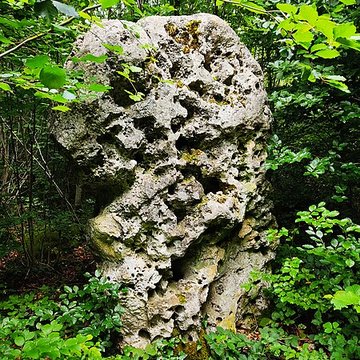 Menhir le Cheval gris de Chambain