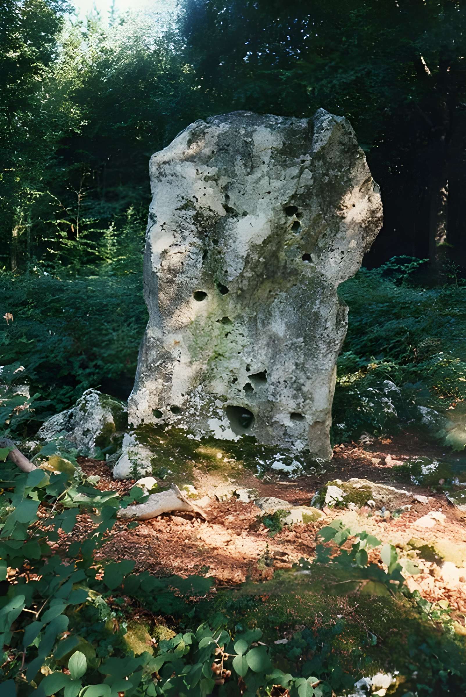 Menhir le Cheval gris de Chambain 