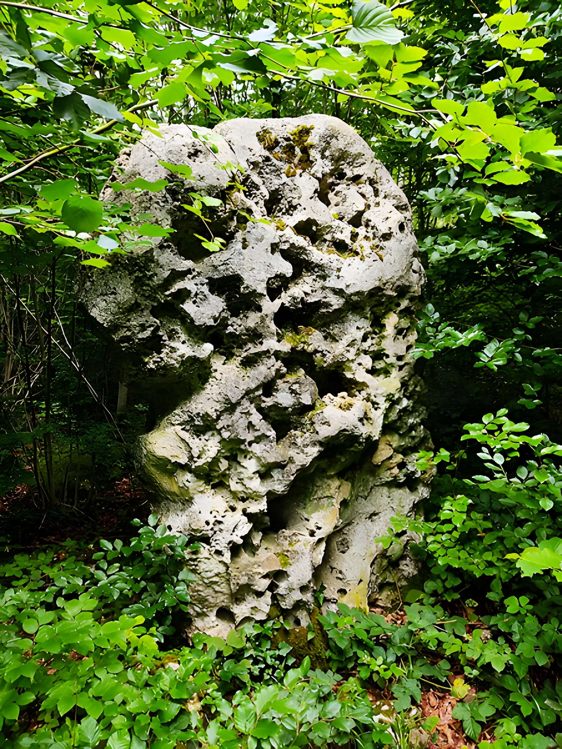 Menhir le Cheval gris de Chambain