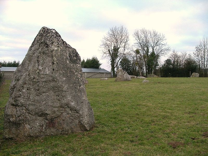 Photo de Menhirs de la Plumaudière à Montchauvet