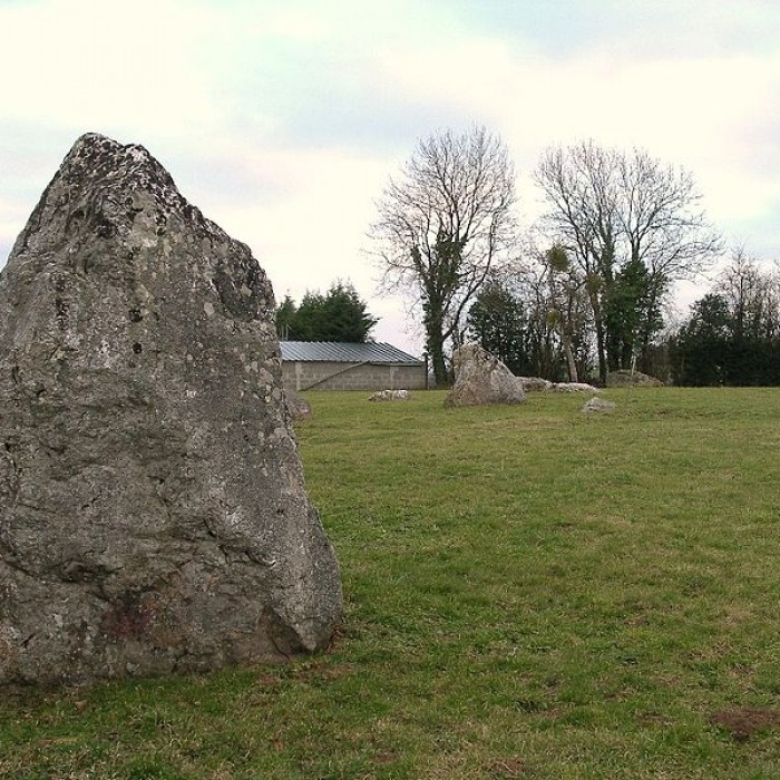 Photo de Alignement de neuf menhirs de la Plumaudière