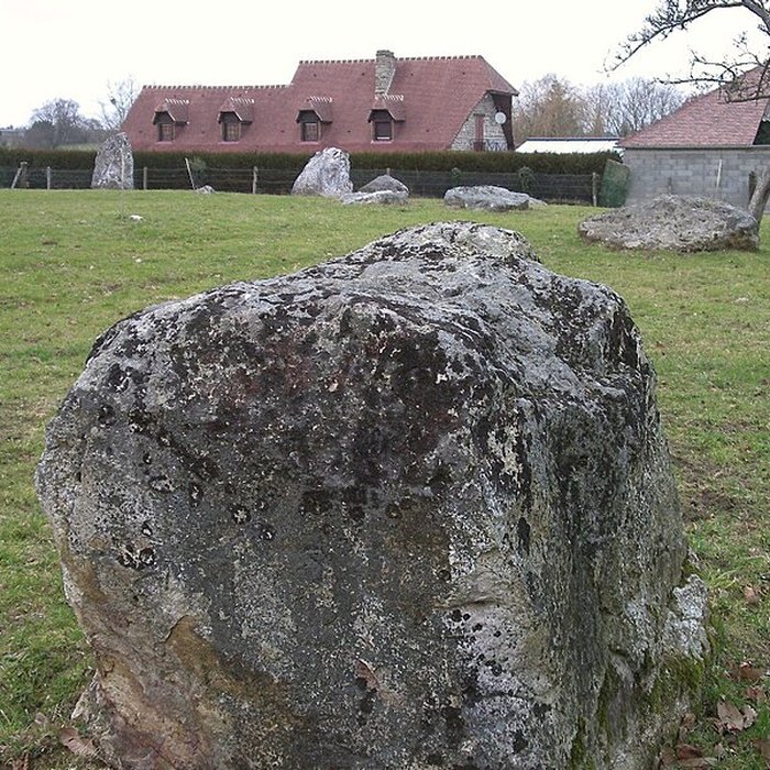 Photo de Alignement de neuf menhirs de la Plumaudière