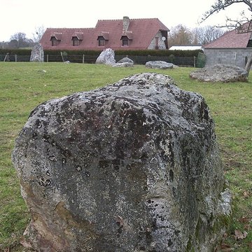 Alignement de neuf menhirs de la Plumaudière