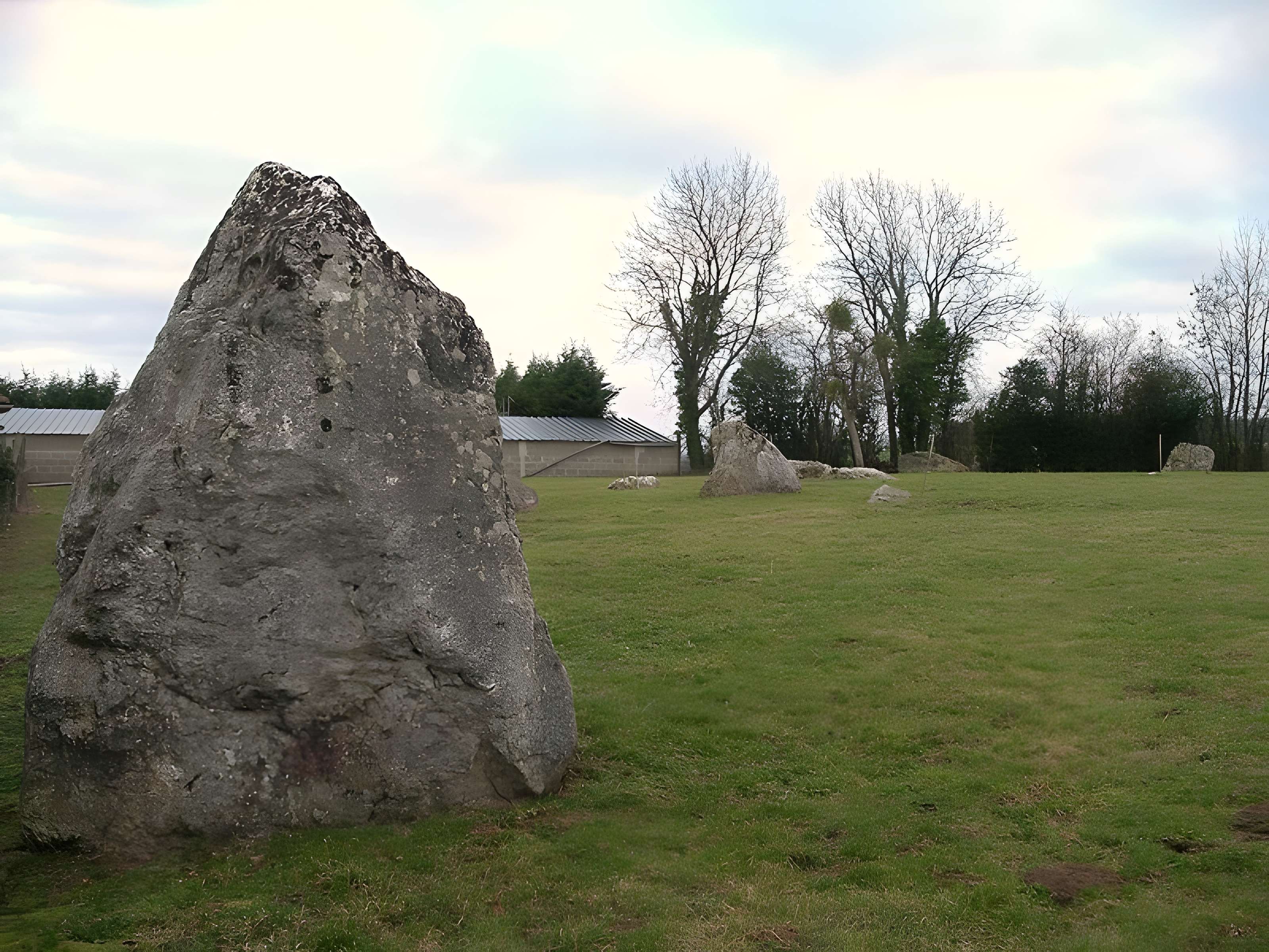 Menhirs de la Plumaudière à Montchauvet 