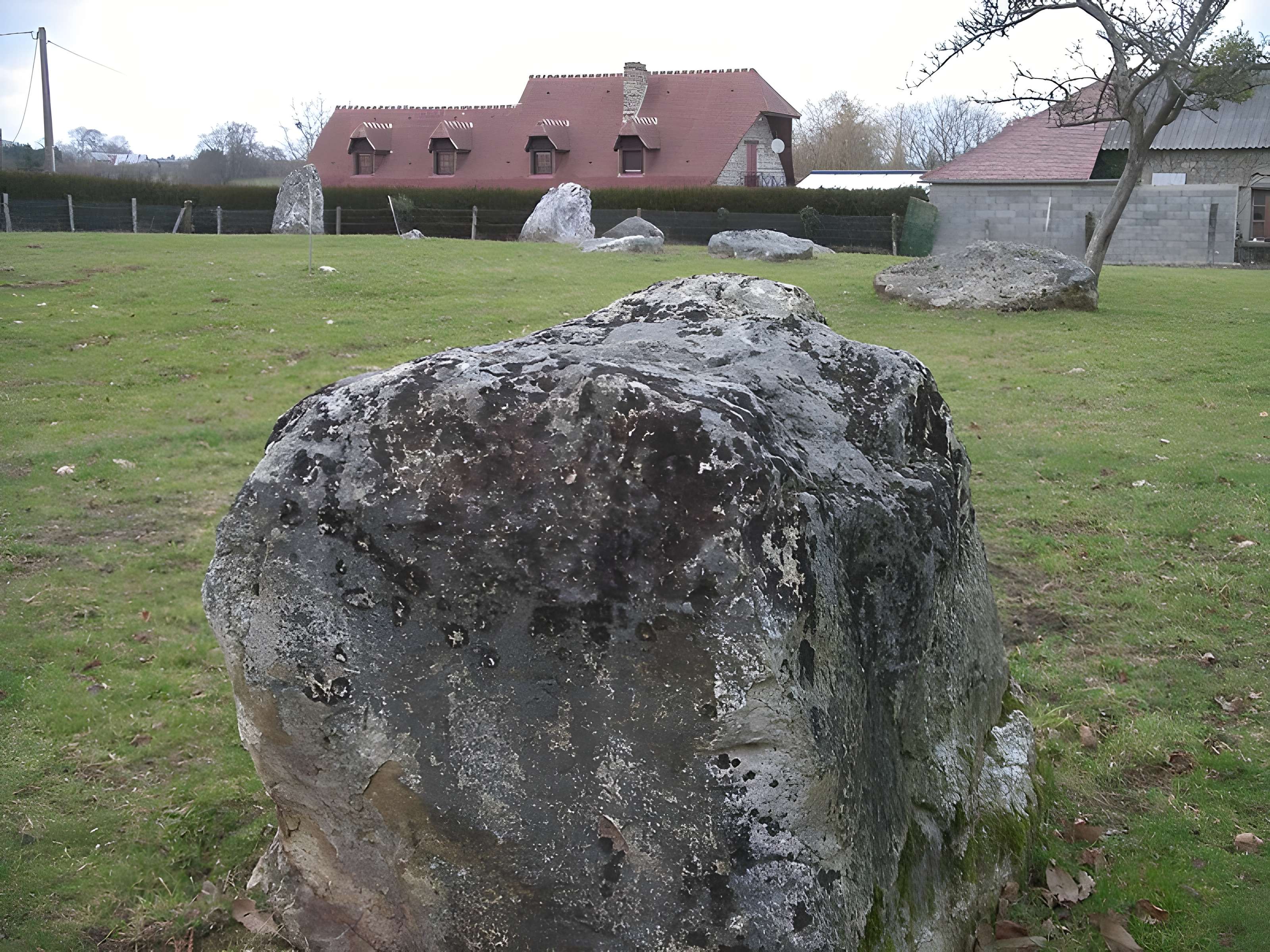 Alignement de neuf menhirs de la Plumaudière
