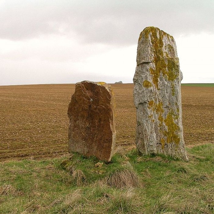 Photo de Menhirs des Longrais de Soumont-Saint-Quentin